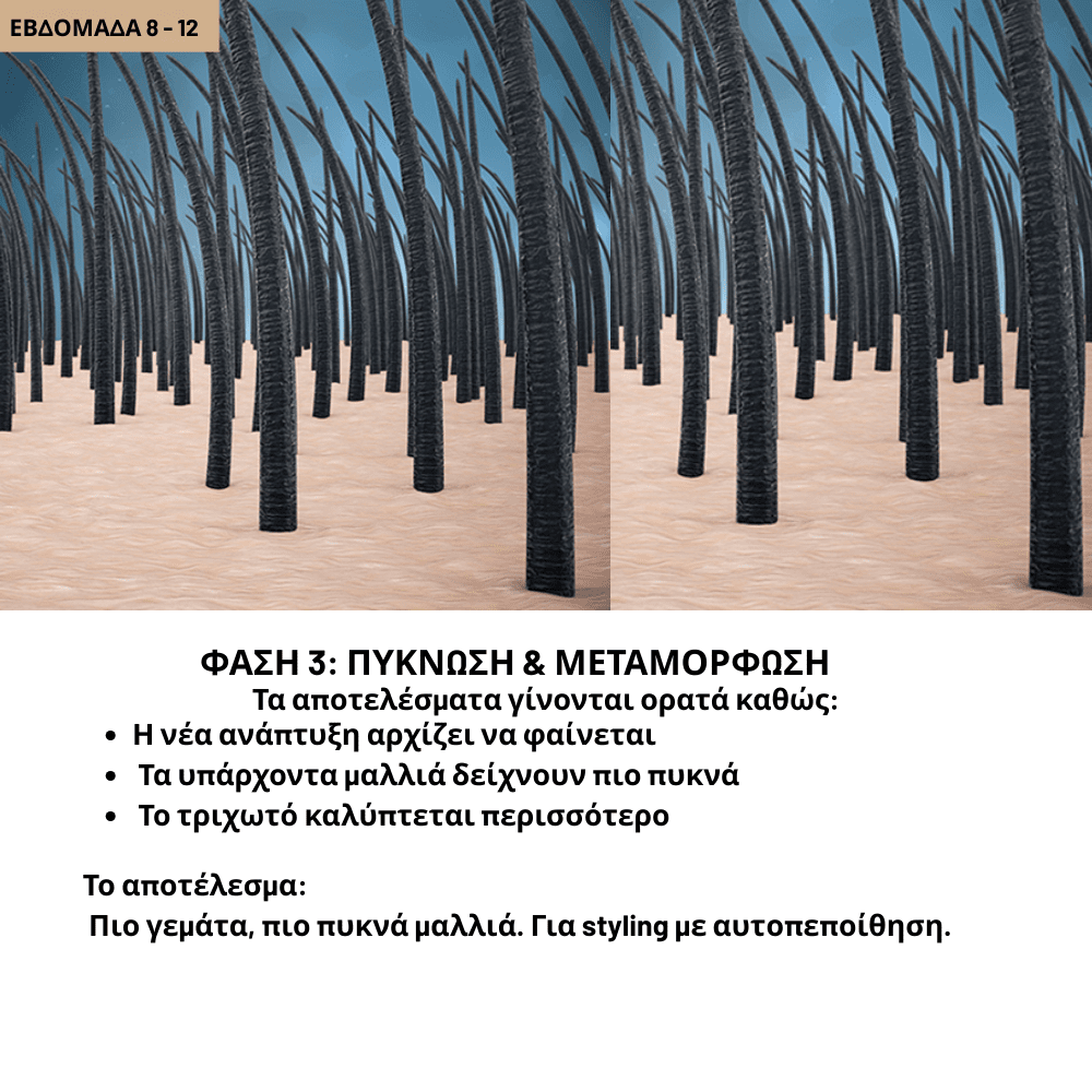 Σαμπουάν Ενδυνάμωσης Ρίζας [Activator Shampoo]