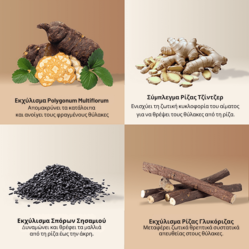 Σαμπουάν Ενδυνάμωσης Ρίζας [Activator Shampoo]