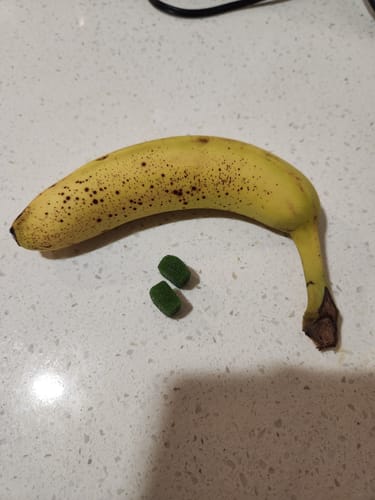 <p><strong>Αγαπημένο από όλους, παντού. Μην το χάσεις.</strong></p>